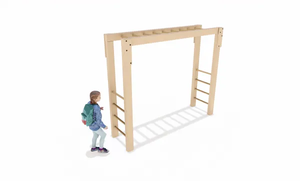 Home Front Monkey Bar play trail